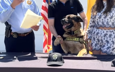 K-9 Sgt. Lanzer Promotion